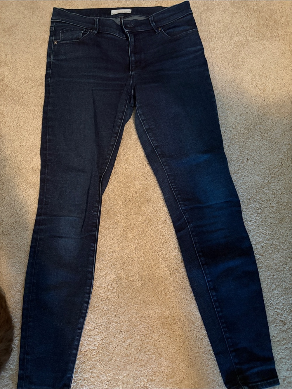 LOFT Dark Indigo Skinny Jeans